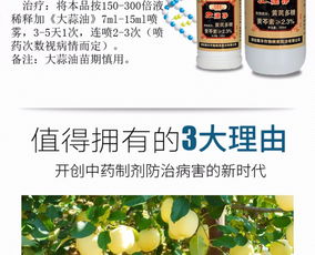 【黃瓜黑星病的克星-速凈殺菌劑】-