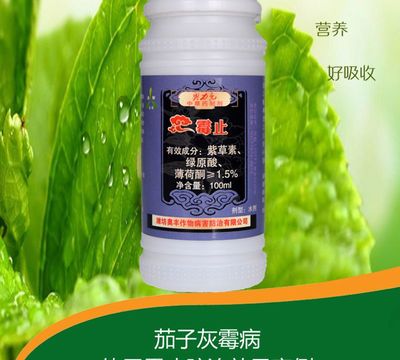 a番茄蔬菜草莓灰霉病葉霉葡萄韭菜獼猴桃灰霉病農(nóng)藥廠家批發(fā) 霉止