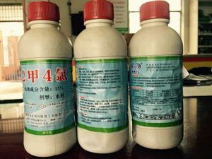 【種子 農(nóng)藥】種子 農(nóng)藥價格/圖片_種子 農(nóng)藥批發(fā)/采購_種子 農(nóng)藥廠家/供應(yīng)商
